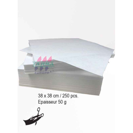 E-ZEEWEB 50g 38x38cm 250 pièces